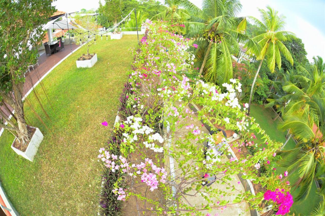 Tropical House - Jungleside Villa ヒッカドゥワ エクステリア 写真